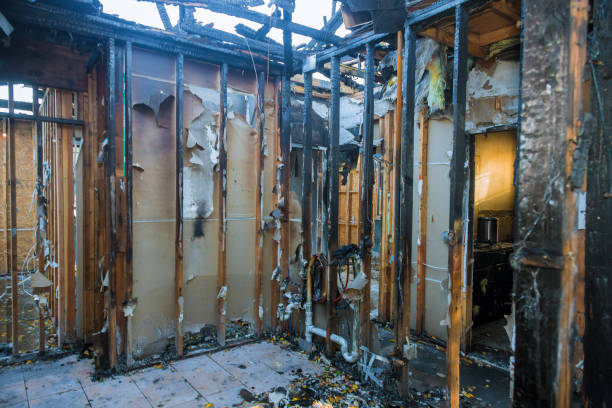 Professional Emergency Fire Cleanup technician working in Palm Harbor, FL