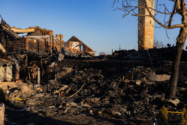 Reliable Emergency Fire Cleanup contractor in Palm Harbor, FL by Fire Damage Laser Cleaning