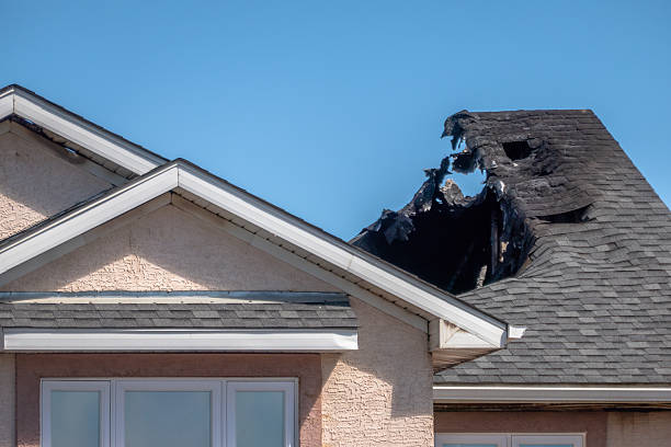 Top rated local Emergency Fire Cleanup specialists in Palm Harbor, FL